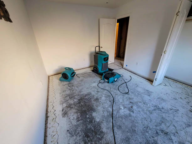 Best Commercial Water Damage Restoration in Eagle, ID